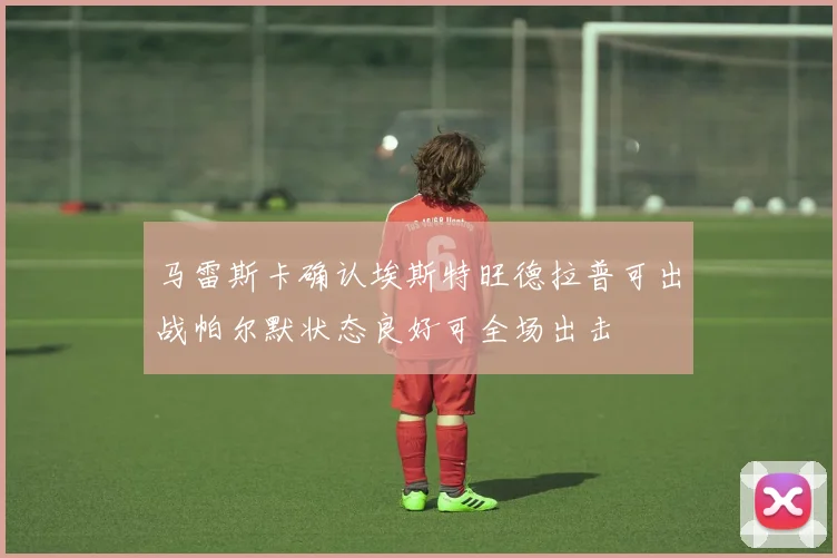 马雷斯卡确认埃斯特旺德拉普可出战帕尔默状态良好可全场出击