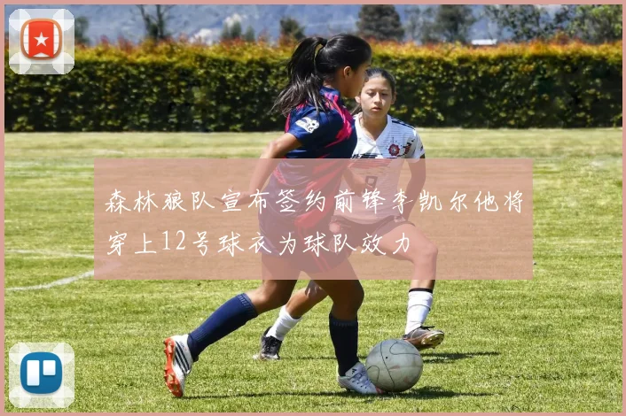 森林狼队宣布签约前锋李凯尔他将穿上12号球衣为球队效力