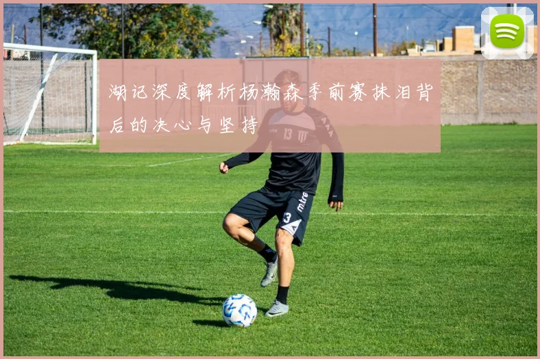 湖记深度解析杨瀚森季前赛抹泪背后的决心与坚持